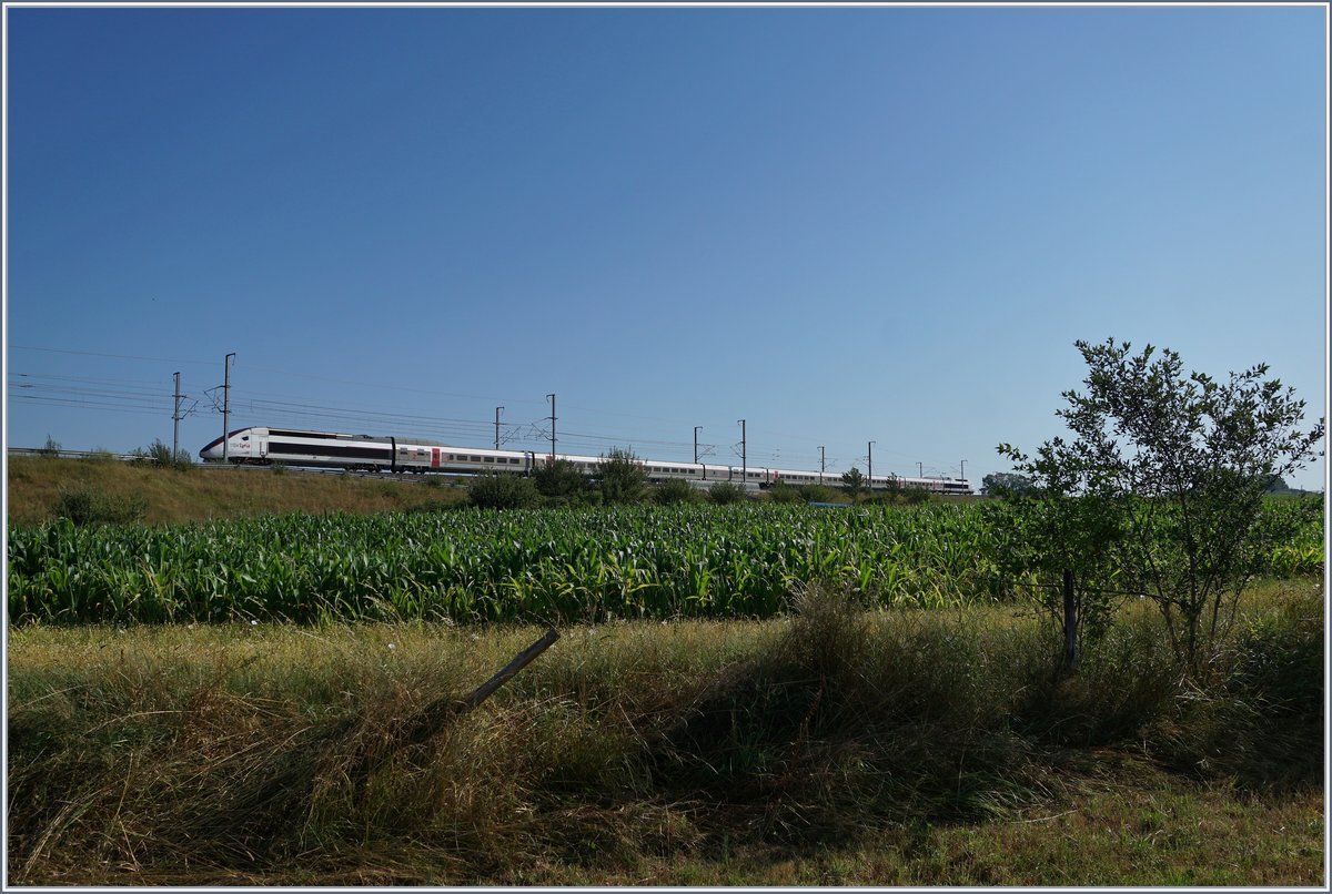 The TGV Lyria 9206 from Zürich to Paris by the Belfort Montbeliard TGV Station.

23.07.2019