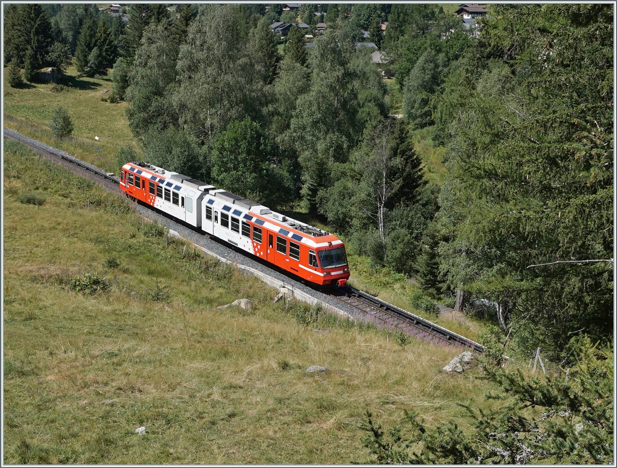The TMR BDeh 4/8 21 is the SNCF TER from St-Gervais to Vallorcine and here just after Le Buet. 

01.08.2022