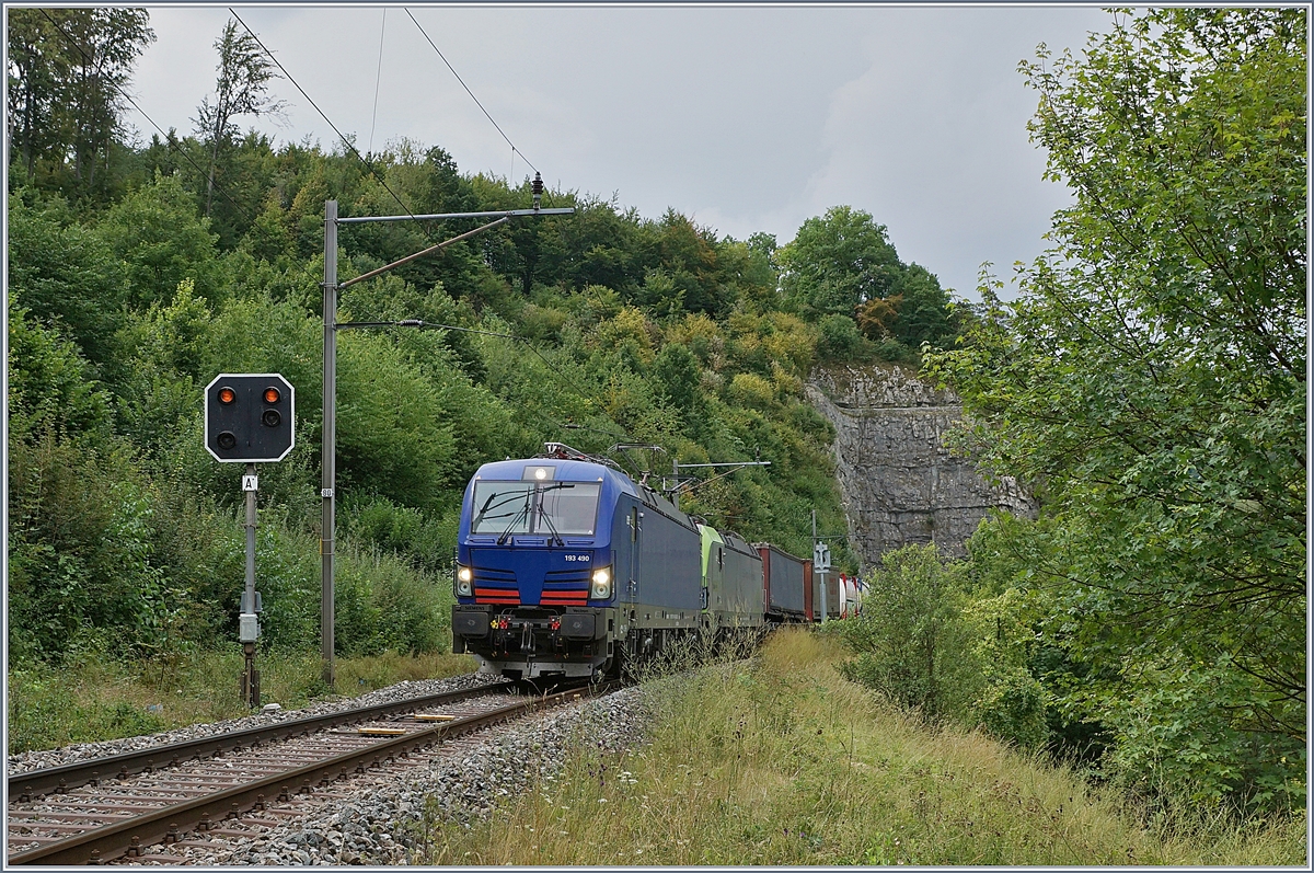 The  Vectron  193 490 and an other one between Läufelfingen and Buckten (Alte Hauenstein Line)
07.08.2018