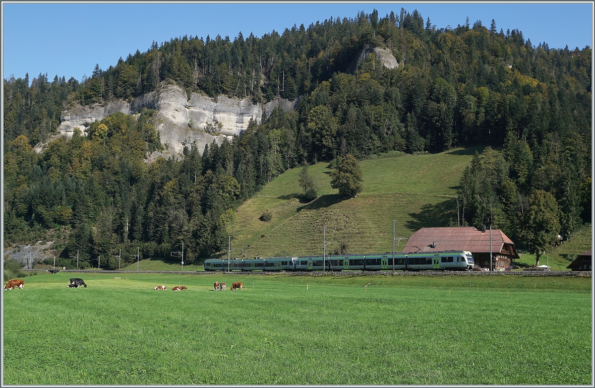 Two BLS RABe 535 Lötschberger way to Lucerne shortly after Trubschachen in the border area between Emmetal and Entlebuch. Oct 1, 2020