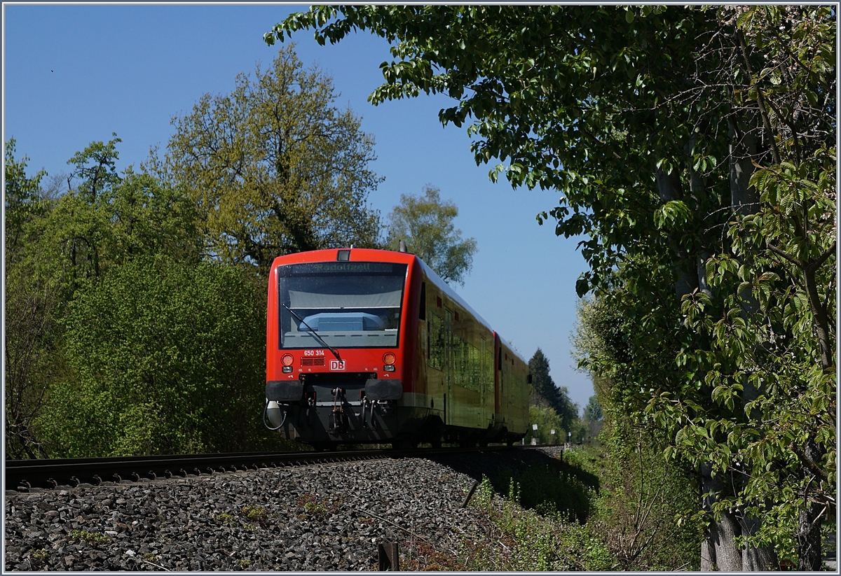 Two DB VT 650 on the way to Radolfzell by Nussdorf.
24.04.2017 