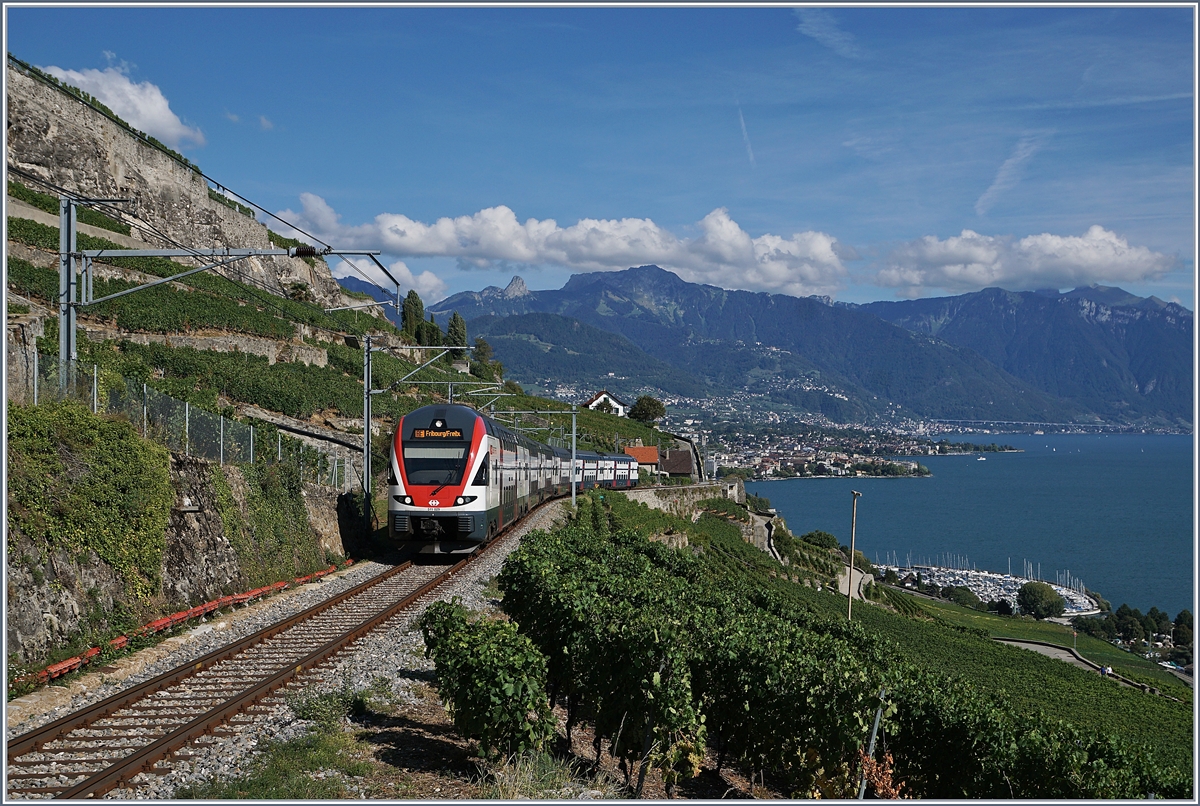 Two SBB RABe 511 on the way to Fribourg Geneva by Chexbres (Summertimetable 2018) 

26.08.2018