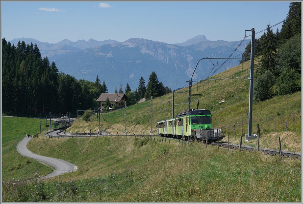 While the opposing train is already waiting in Col-de-Soud, the BDeh 4/4 83 is on its way to Villars sur Ollon.

Aug 19, 2023