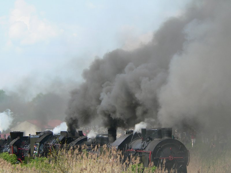 Every year there is a Steam locomotives parade in Wolsztyn, with locomotives from Poland, Germany, Hungary, Czeshia und Great Britain. This photo is taken on the Parade 2008
