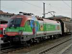 1116 1116 007-4 is hauling a freight train trough the station of Passau on September 17th, 2010.