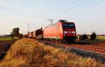145 (10 Photos)