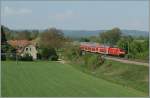 146 A DB 146 with a Black-Wood RE service to Baden Baden by Singen.
22.04.2011