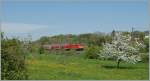 146 Springtime on the 'G�ubahn' by Engen: A DB 146 wiht his RE runs to Konstanz.
22.04.2011