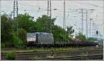 MRCE 185 553-5 is hauling a freight train through Koblenz ...