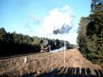 German Steam Locomotive 52 8177-9 in Rheinsberg, 2003/08.  ...