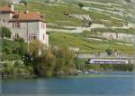 523 A Flirt to Lausanne by Rivaz. 
03.10.2010