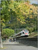 523 Flirt by Villeneuve.
04.10.2010