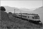 560-rbde-4-4 The 'Train des Vignes' in Black/Whit.
By Chexbres, 29.05.2011