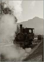 Achenseebahn The Achneseebahn steamer N� 3 'Georg' in Seespitz. 16.09.2011

