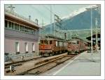 ae-8-8-bls BLS Ae 8/8 271 and BLS Re 4/4 183 in Birg.
Mai 1995