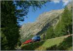 albula-line RhB Ge 4/4 III 647 with a fast service from Chur to St Moritz in the Glenn of Bever. 
12.09.2011