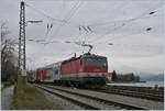 The ÖBB 1144 035 wiht a local train by his arrivng at Lindau .