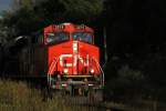 canadian-national-railway-cn CN ES44DC 2274 comes out of the forrest. Eastside of Toronto on 13.Sept.2010.
 