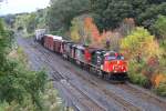 CN 2294 (ES44DC) + ...  Gilbert Angermann 11.12.2010