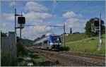 The SNCF Z 82704 from Chambèry to Geneva (TER 96608) by Russin.
20.6.2016