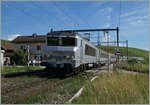 The SNCF BB 22 362 wiht the TER 96558 to Lyon in Russin.