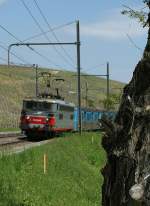 SNCF BB 25 546 with his  RIO Train in Russin. 
01.05.2009 
