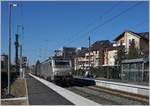 The 37028 and an other one wiht a  Evian -Mineral-Water Cargo Train in Thonon.