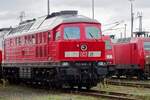 During an Open day on 17 September 2022, DB Cargo 233 698 could be seen at the Bw Seddin.