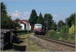 A DB VT 628 on the way to Friedrichshafen by Nonnenhorn.
09.09.2016