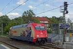 On 5 August 2019 Märklin loco 101 064 runs round at Bad Bentheim. 