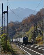 Two 193 run for SBB Cargo International on the way to Brig by his passage in Preglia. 21.11.2017