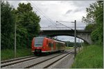 The DB 426 009-7 on the way to Schaffhausen by Bietingen.
19.06.2016