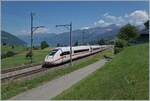 The DB ICE 4 on the way from Interlaken Ost to Frankfurt between Faulensee and Spiez.