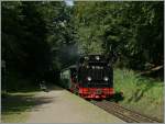 The RBB 99 1784-0 is coming from the dark wood to make a stop at the little Station Sellin West.
16.06.2010 