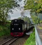 The RBB steam engine 99 1784-0 is hauling its wagons out of the station of Binz (LB) on September 22nd, 2011.