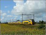 IRM Regiorunner A local train pictured between Etten-Leur and Hoeven on September 5th, 2009.