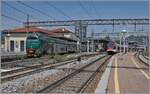 A Trenord Ale 711 on the way to Treviglo is waiting his departur in Varese.