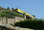 Lavaux The 'Train de Vignes/Vineyard Train' in his elements...
06.09.2009