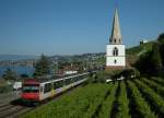 Lavaux NPZ by Villette (VD)
10.07.2008