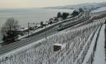 Lavaux EC 39 by Cully.
10.01.2010