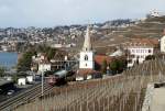 Lavaux Re 4/4 II with a special train by Villette (VD).
30.01.2010