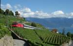 Lavaux Re 460 050-8 on the vineyard by Chexbres. 05.09.2009
