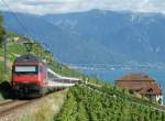 Lavaux Re 460 042-5 on the vineyard by Chexbres. 
05.09.2009