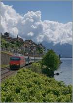 Lavaux SBB Re 460 044-1 with a IR to Geneva Airport by St- Saphorain. 03.08.2010