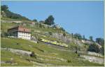 Lavaux The 'Train des Vignes' in the vineyards. 
03.10.2010