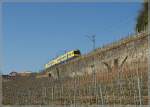 Lavaux Between the Heaven and the Earth: Trains des Vignes.
24.01.2011