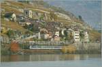 Lavaux An SBB NPZ by St-Saphorin. 
04.11.2010 