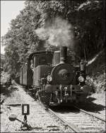 . The steam engine ADI N 8 is arriving with heritage waggons in Fond de Gras on June 2nd, 2013.