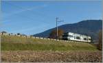 CEV GTW  Vevey  by ...  Stefan Wohlfahrt 13.04.2012