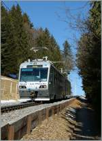 mvr-cev CEV 'Train des Etolies' between Lally and Les Pleaidaes. 
31.01.2011